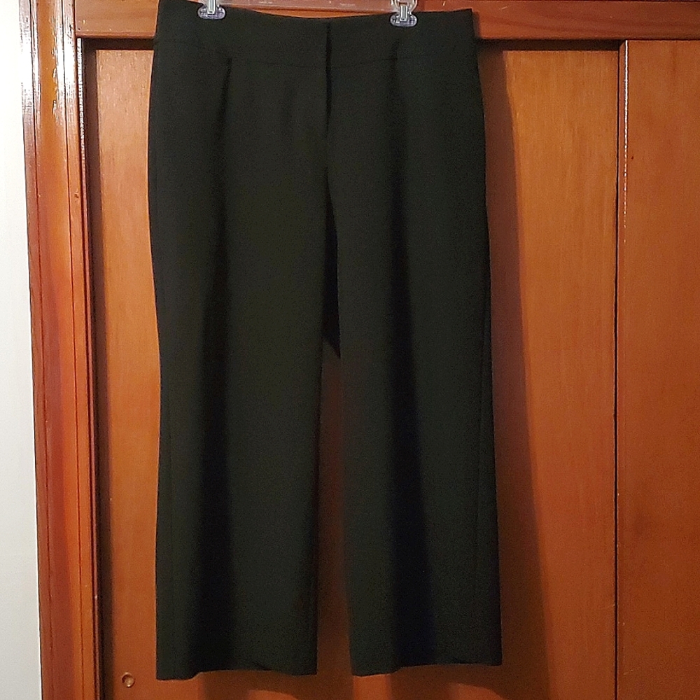 Lane Bryant "The Allie" Wide leg dress pants